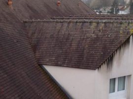 Image 05 Reiniging daken - MS Peintures